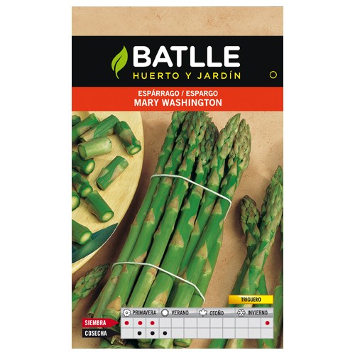 Green Asparagus Mary Washington Bag