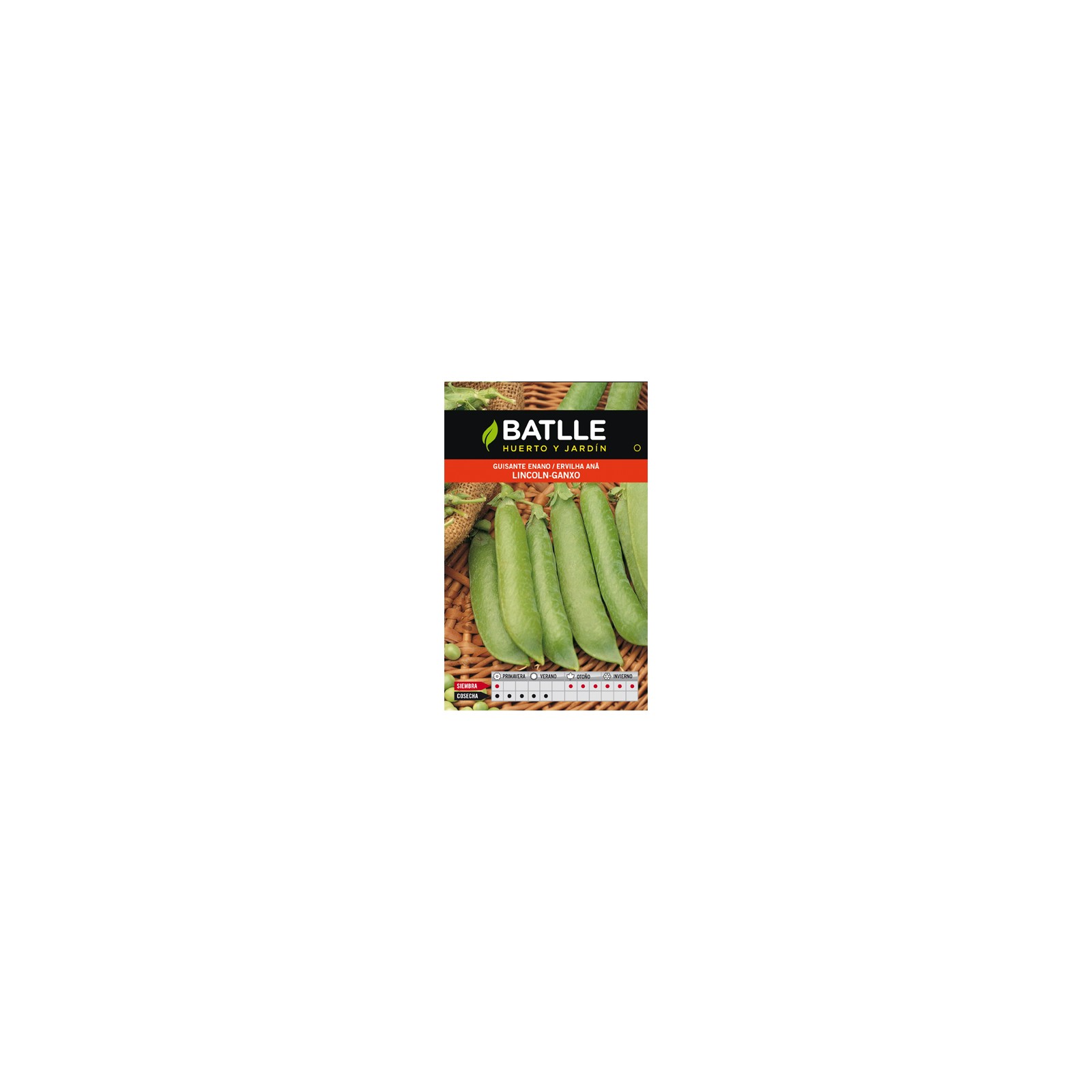 Lincoln Gancho Peas 1 Kg Optimal for Home Gardening Lincoln Gancho Peas 1 Kg Optimal for Home Gardening