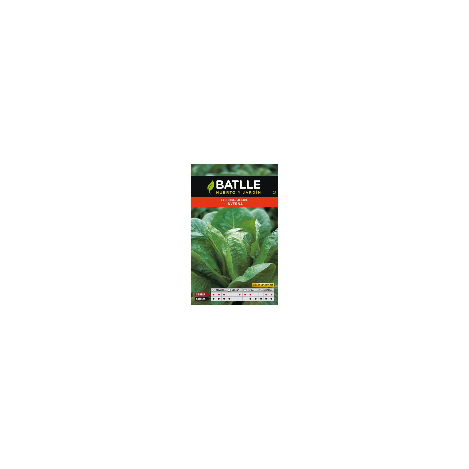 Anilla Olleta para Enganche de Alambre Verde Anilla Olleta para Enganche de Alambre Verde