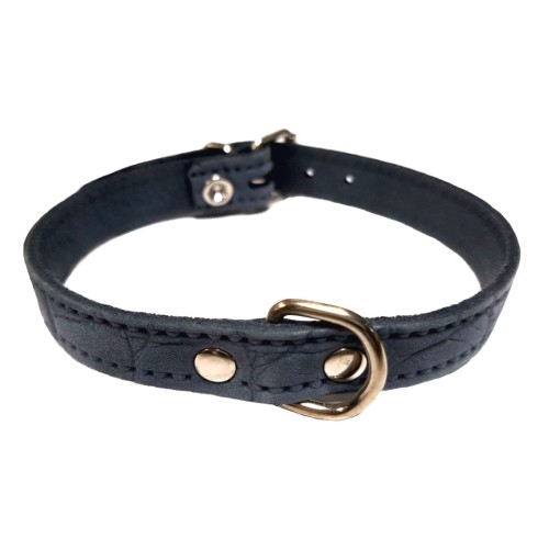 Stylish Red Leather Dog Collar