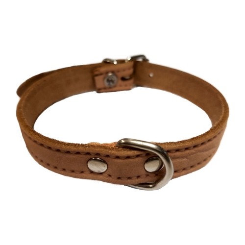 Stylish Red Leather Dog Collar