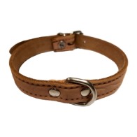 Stylish Red Leather Dog Collar