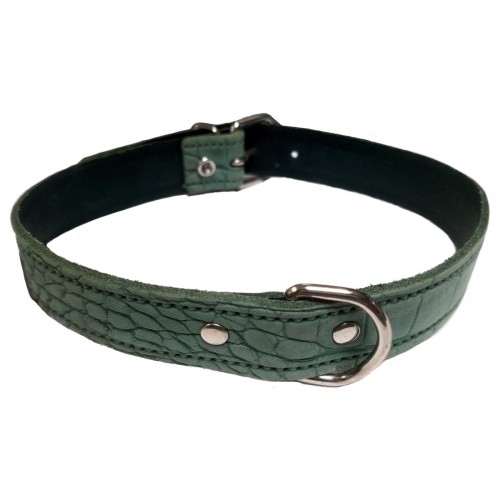 Stylish Red Leather Dog Collar