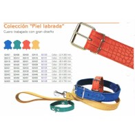 Stylish Red Leather Dog Collar