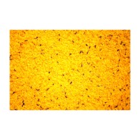Raff Holland Cova 1 Kg.
