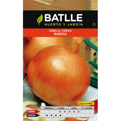 Slimy Onion Primosa Seeds for Cultivation