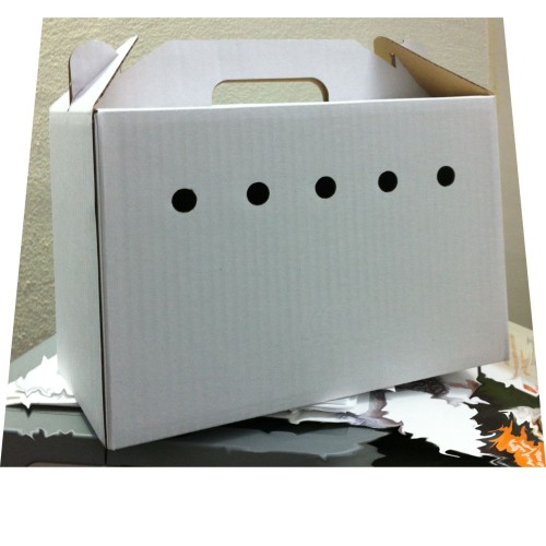 Transportin Carton Grande para Mascotas Pequeñas