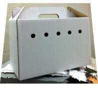 Large Cardboard Carrier for Small Pets