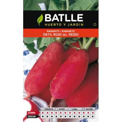 Red Date Radish Seed Packet Easy Cultivation