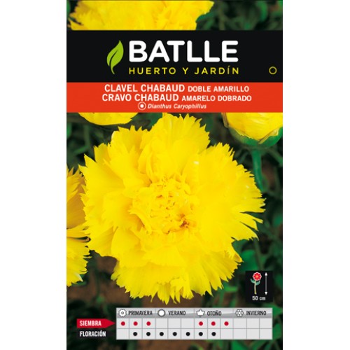 Double Yellow Chabaud Carnation Pack for Colorful Gardens