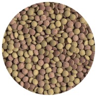 Tetratabimin 120 Tablets