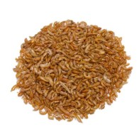 Gammarus Bulk Feed for Turtles and Aquatic Pets