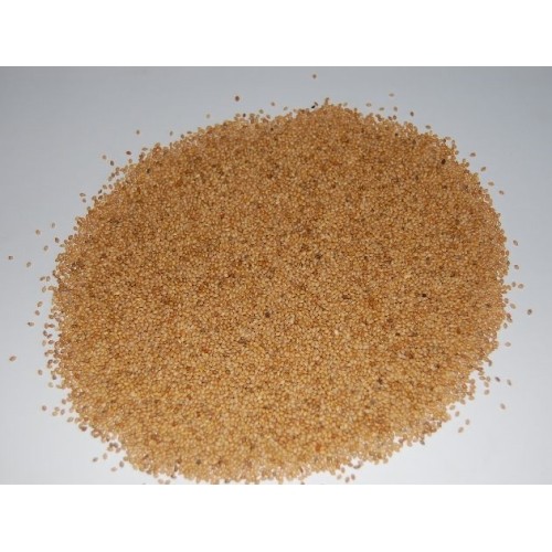 Panic Seed Grain 25 Kg for Birds
