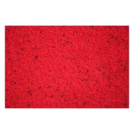 Raff Holland Rosso 300g for canaries