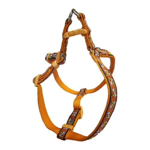 Harness and Bully 15x400-500mm Orange