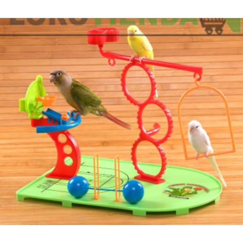 Basketball Park for Parakeets