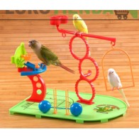 Basketball Park for Parakeets