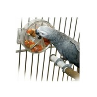 Interactive Spinner Toy for Parrots
