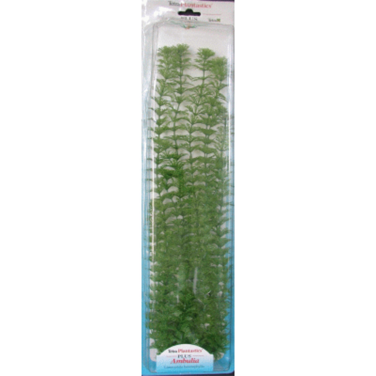 Ambulia Plus Plant 28-33 cm Ambulia Plus Plant 28-33 cm