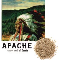 Canada Apache Canary Seed 25 Kg