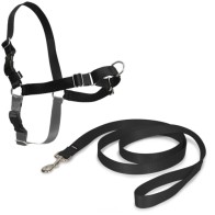 Arnés Easy Walk para Paseos Cómodos