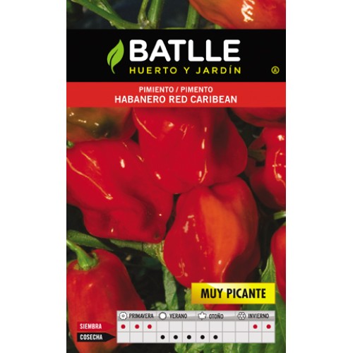Red Caribbean Habanero Hot Pepper