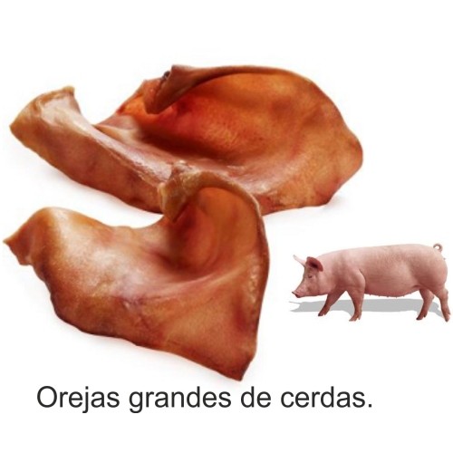 Orejas de Cerdo Extra para Perros - 5 Uds.