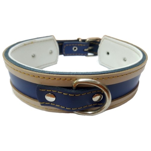 Collar Galgo Blanco Borde Azul - Estiloso y Durable