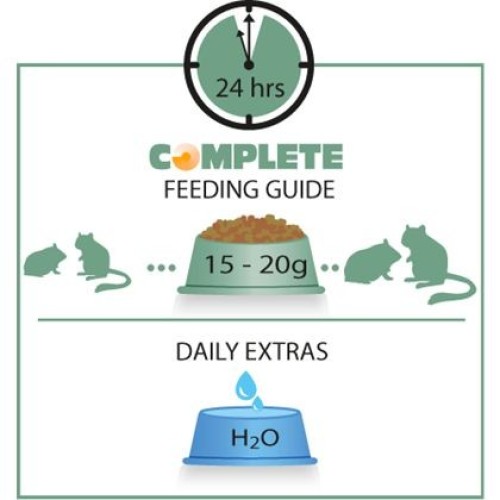 Hamster Complete 500g Feed for Small Pets