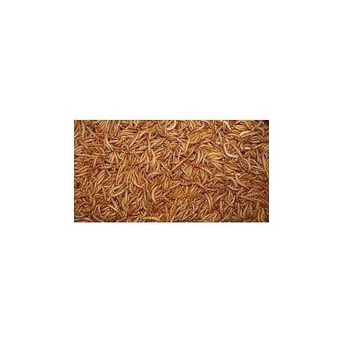 Prodac Mealworms 1 Kg for Birds