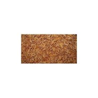 Prodac Mealworms 1 Kg for Birds