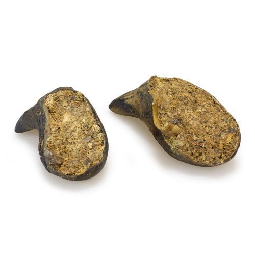 Buffalo Hoof Filled with Liver Snack